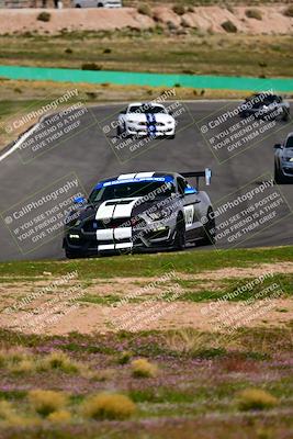 media/Feb-25-2024-Speed Ventures (Sun) [[b9a2a97a4d]]/Mustang Drivers Club/Session 3 (Turn 2)/